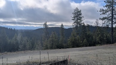 This beautifully treed 10+ acre parcel located just 15 minutes - photo 9