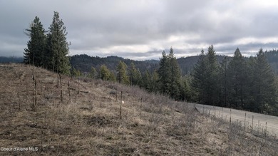 This beautifully treed 10+ acre parcel located just 15 minutes - photo 10