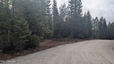 This beautifully treed 10+ acre parcel located just 15 minutes - photo 3