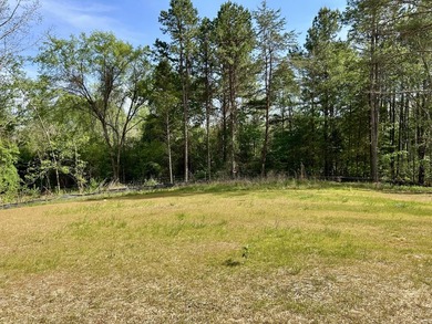 Brand new construction on nearly an acre in Spring City offering - photo 5