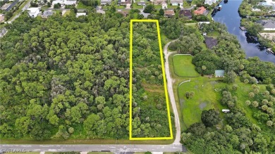 Great opportunity to build your dream home or divide the lot in - photo 4