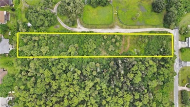 Great opportunity to build your dream home or divide the lot in - photo 9