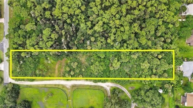 Great opportunity to build your dream home or divide the lot in - photo 10