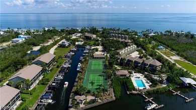 Stunning Waterfront End-Unit Condo with Direct Gulf Access in - photo 48
