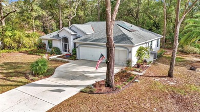 (private lake, pond, coastal) Home Sale Pending in Dunnellon Florida