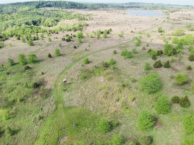 1,000 Acres | Premier Recreational & Investment Tract - photo 3