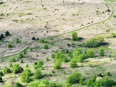1,000 Acres | Premier Recreational & Investment Tract - photo 4
