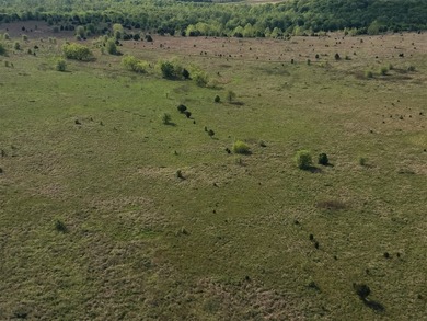 1,000 Acres | Premier Recreational & Investment Tract - photo 6