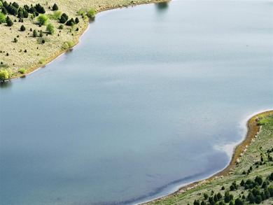 1,000 Acres | Premier Recreational & Investment Tract - photo 9
