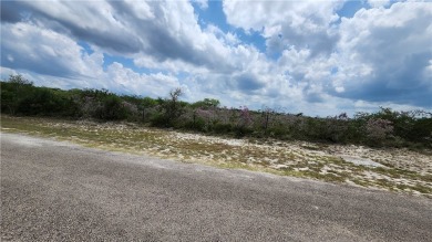 Lake Lot For Sale in Sandia, Texas