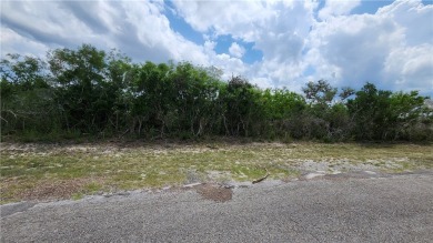 Lake Lot For Sale in Sandia, Texas