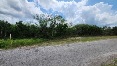 Lake Lot For Sale in Sandia, Texas