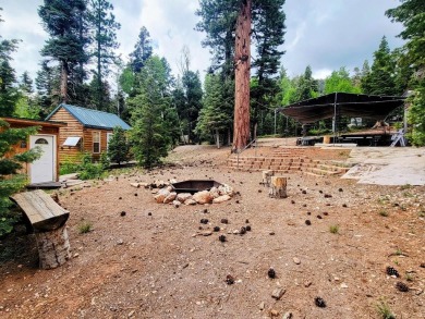 Navajo Lake Lot For Sale in Duck Creek Utah