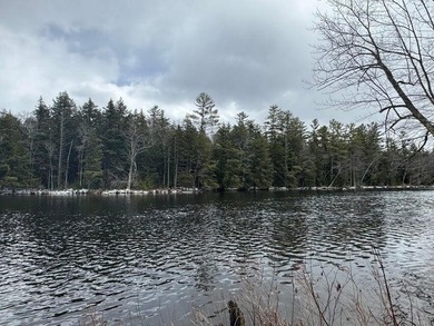 This gorgeous, untouched 0.69-acre property features 100 feet of - photo 14