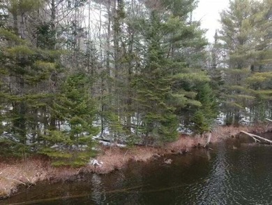This gorgeous, untouched 0.69-acre property features 100 feet of - photo 22