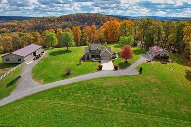 Lake Home For Sale in Bruceton Mills, West Virginia