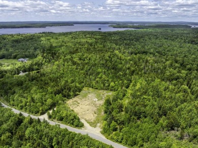 Gardner Lake Lot For Sale in Whiting Maine