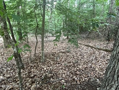 Escape to East Tennessee: Stunning Mountain-View Lot Ready for - photo 11