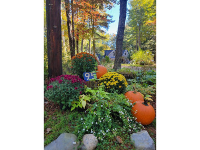 Graham Lake Home For Sale in Mariaville Maine