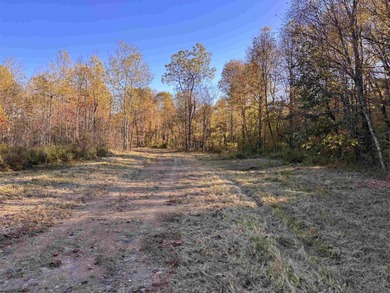 Lake Acreage For Sale in Junior, West Virginia
