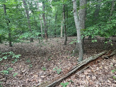 Escape to East Tennessee: Stunning Mountain-View Lot Ready for - photo 12