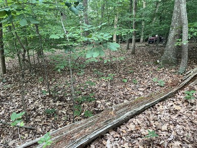 Escape to East Tennessee: Stunning Mountain-View Lot Ready for - photo 13