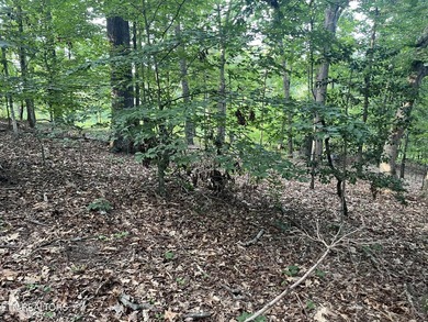 Escape to East Tennessee: Stunning Mountain-View Lot Ready for - photo 15