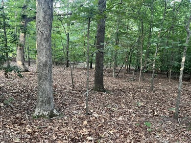 Escape to East Tennessee: Stunning Mountain-View Lot Ready for - photo 16