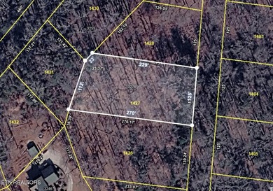 Escape to East Tennessee: Stunning Mountain-View Lot Ready for - photo 17