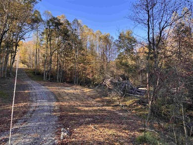 Lake Lot For Sale in Junior, West Virginia
