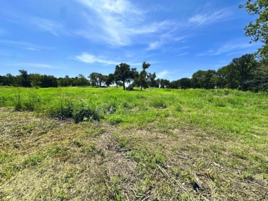 Waterfront 1.01 Acre Lot on Richland Chambers Lake! - photo 23