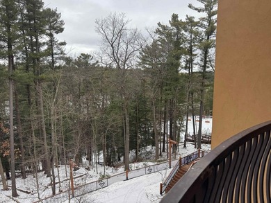 This condo is one of the larger three bedrooms (over 2,000 sq - photo 30