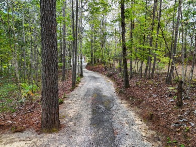 Bear Branch | Just in time for summertime, this turn-key and - photo 44