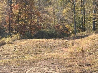 Lake Lot For Sale in Junior, West Virginia