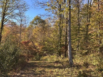 Lake Lot For Sale in Junior, West Virginia