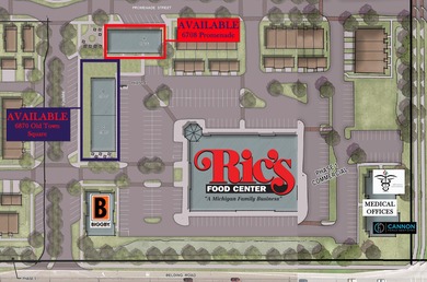 Lake Bella Vista Commercial For Sale in Rockford Michigan