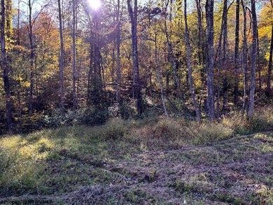 Lake Acreage For Sale in Junior, West Virginia