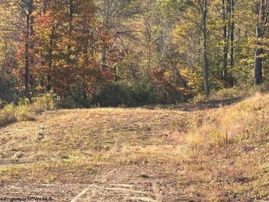 Lake Lot For Sale in Junior, West Virginia