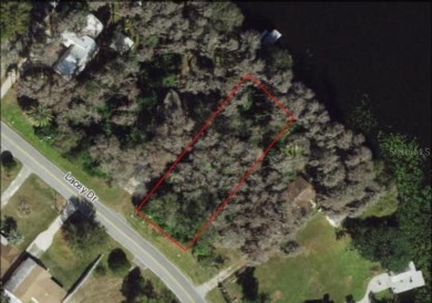 (private lake, pond, creek) Lot For Sale in New Port Richey Florida