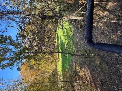 (private lake, pond, coastal) Acreage For Sale in Waterford Mississippi