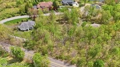 VACANT LAND WITH SUMMIT LAKE VIEWS! Build your dream home in a - photo 7