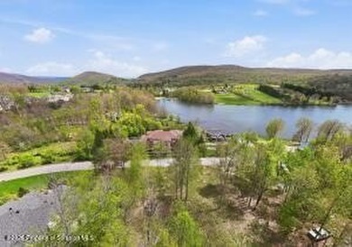 VACANT LAND WITH SUMMIT LAKE VIEWS! Build your dream home in a - photo 9