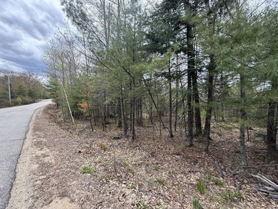 6.78 wooded acres in Lebanon which could be subdivided into 2-3 - photo 2