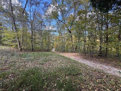 208.48 Surveyed acres of paradise best describe this beautiful - photo 12