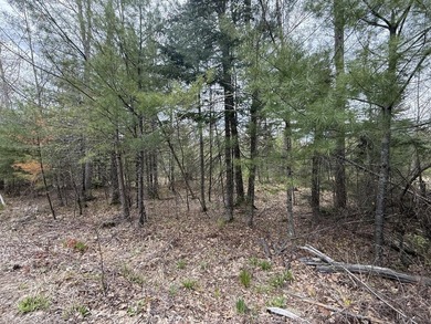 6.78 wooded acres in Lebanon which could be subdivided into 2-3 - photo 3