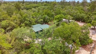 Seeking an Ocala National Forest cabin with all the creature - photo 14