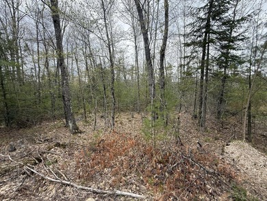 6.78 wooded acres in Lebanon which could be subdivided into 2-3 - photo 4