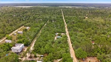 Seeking an Ocala National Forest cabin with all the creature - photo 15