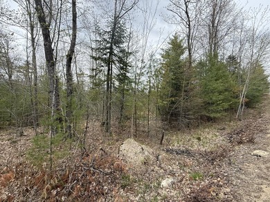 6.78 wooded acres in Lebanon which could be subdivided into 2-3 - photo 5