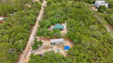 Seeking an Ocala National Forest cabin with all the creature - photo 16